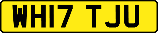 WH17TJU