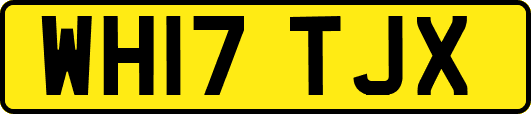 WH17TJX