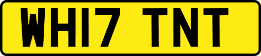 WH17TNT