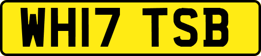WH17TSB