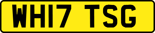WH17TSG