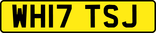 WH17TSJ