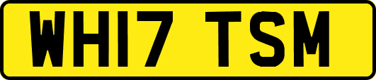 WH17TSM