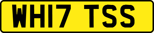 WH17TSS