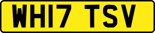 WH17TSV