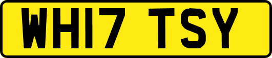 WH17TSY