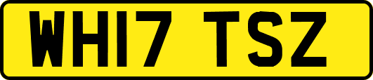 WH17TSZ