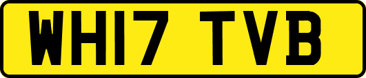 WH17TVB