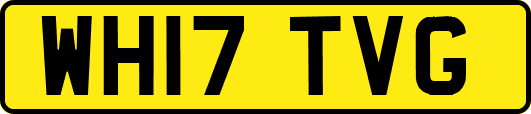 WH17TVG