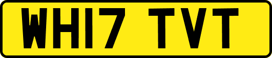 WH17TVT