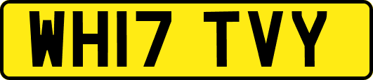 WH17TVY