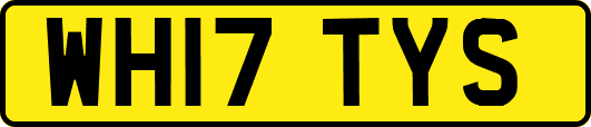 WH17TYS