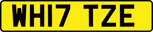 WH17TZE