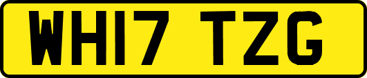 WH17TZG