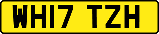 WH17TZH