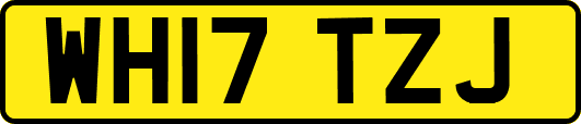 WH17TZJ