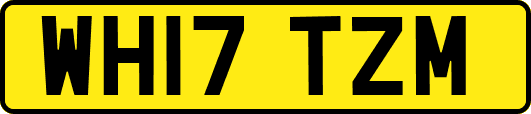 WH17TZM