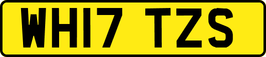 WH17TZS