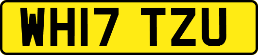 WH17TZU