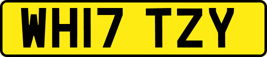 WH17TZY