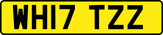 WH17TZZ