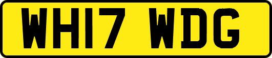 WH17WDG