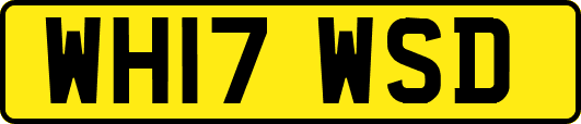 WH17WSD