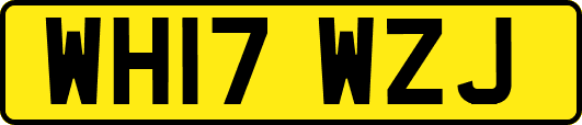 WH17WZJ