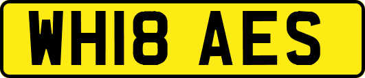 WH18AES