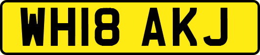 WH18AKJ