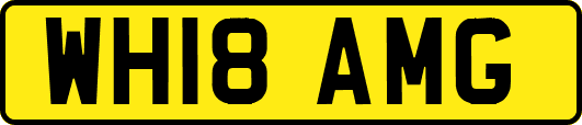 WH18AMG