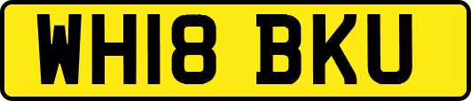 WH18BKU