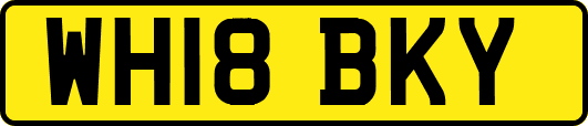 WH18BKY