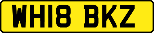WH18BKZ