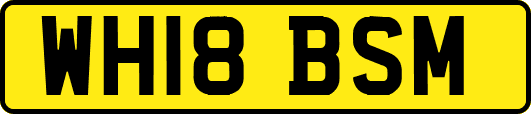 WH18BSM