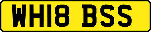 WH18BSS