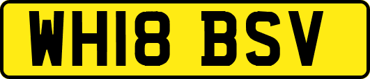 WH18BSV