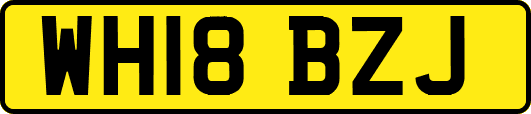 WH18BZJ