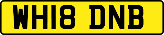 WH18DNB