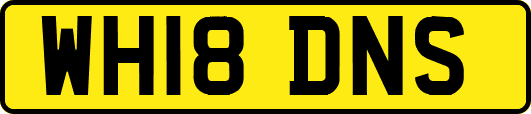 WH18DNS