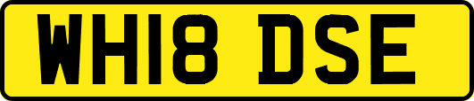 WH18DSE