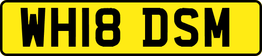 WH18DSM