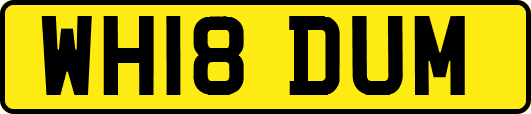 WH18DUM