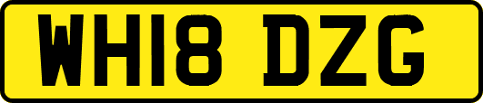 WH18DZG