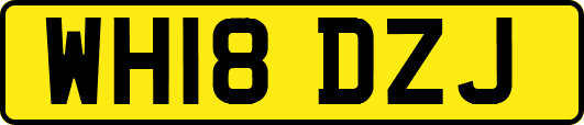 WH18DZJ