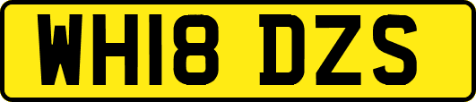 WH18DZS