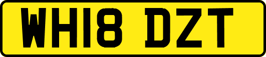 WH18DZT