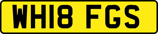 WH18FGS