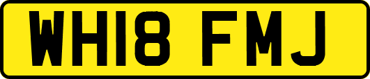 WH18FMJ