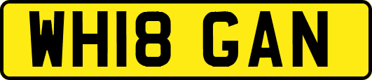 WH18GAN
